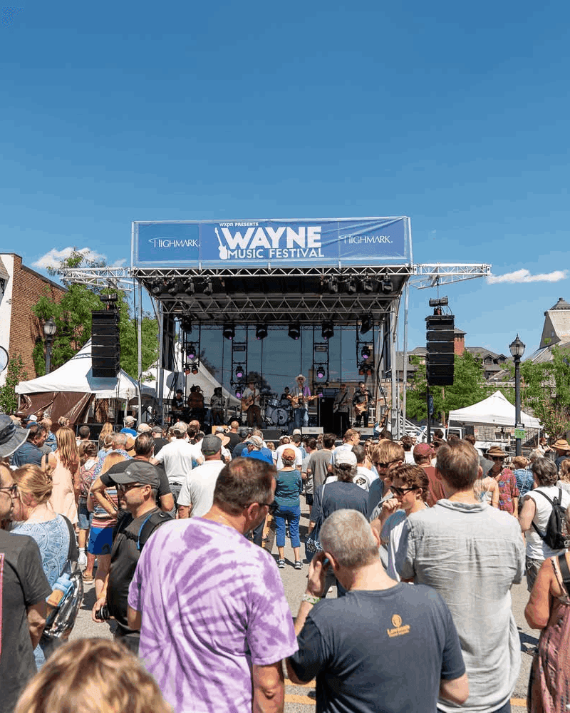 Wayne Music Fest
